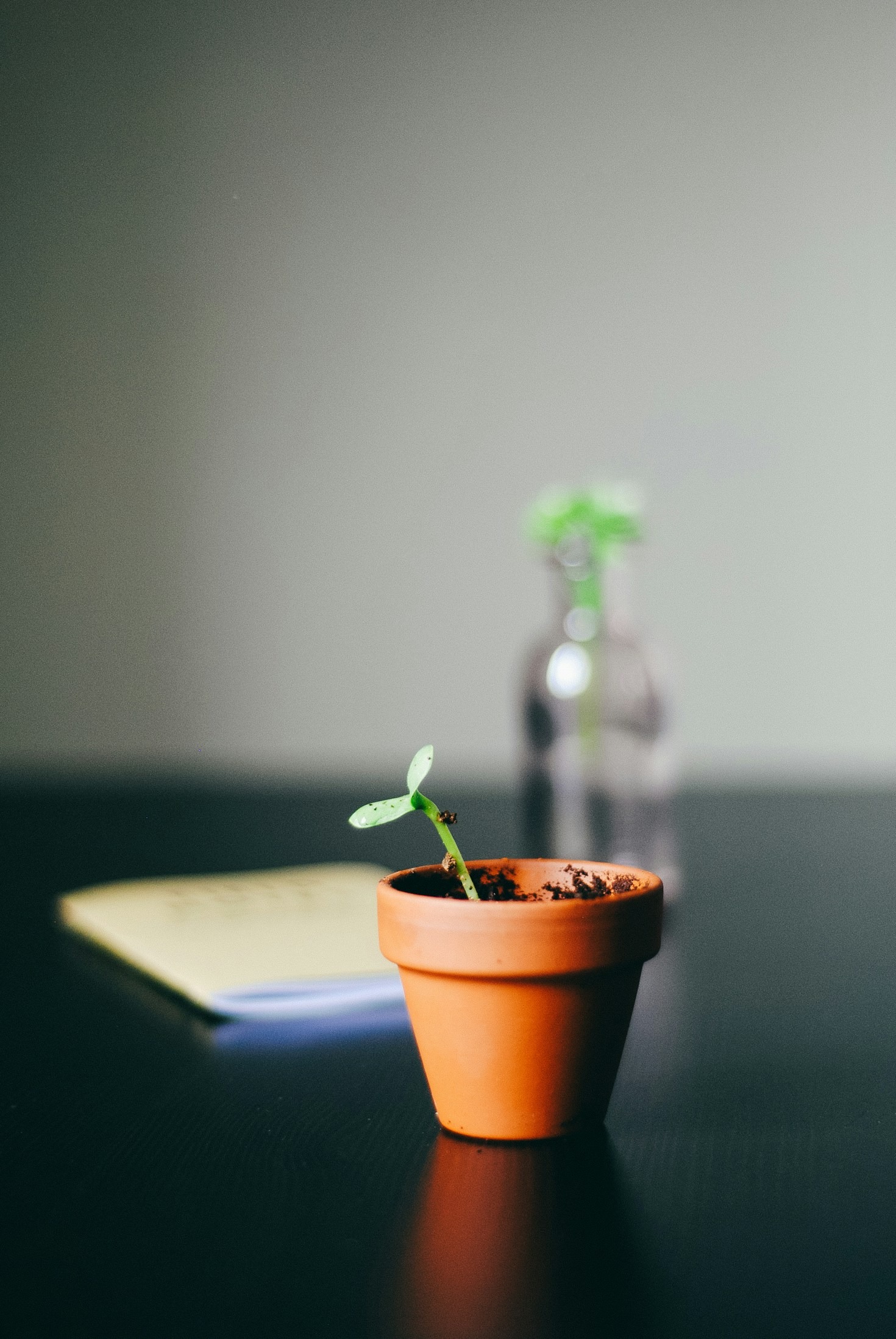 Reflexiones para cultivar serenidad en el día a día